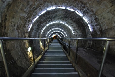 2011RapaRosie 530.JPG