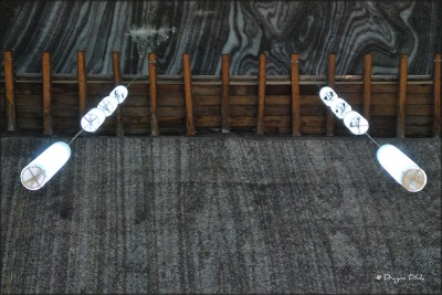 2011RapaRosie 570  blog.JPG