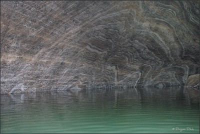 2011RapaRosie 599 blog.JPG